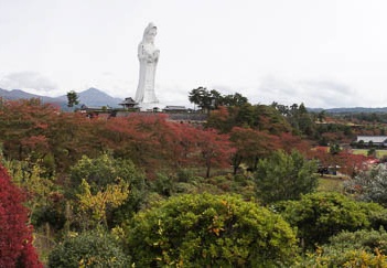 201110211021-DSC05509.jpg