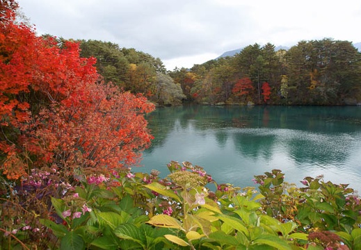 201110211316-DSC05818.jpg