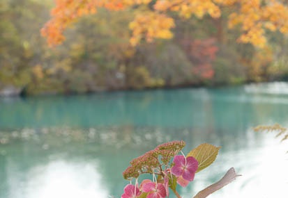201110211317-DSC05822.jpg