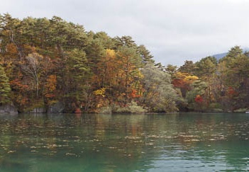 201110211346-DSC05888.jpg