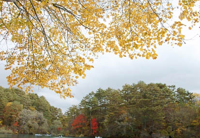 201110211353-DSC05906.jpg