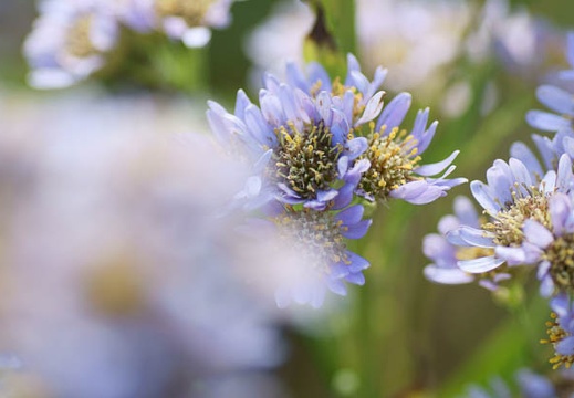201110251256-DSC06197.jpg