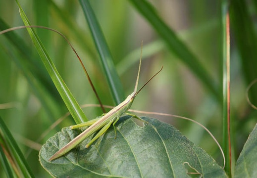 201110251308-DSC06228.jpg