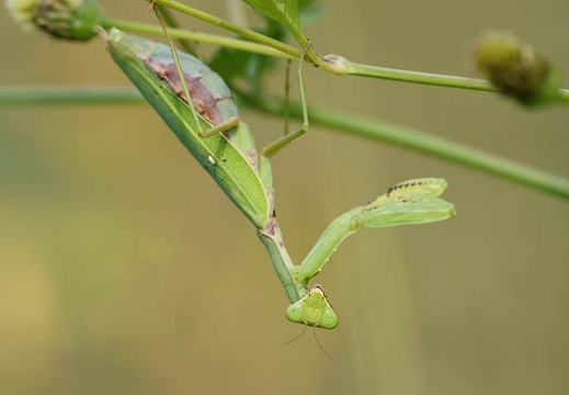 201110251312-DSC06242.jpg
