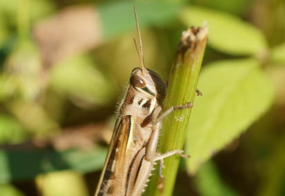 201110251326-DSC06278.jpg