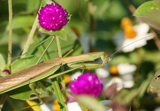201110251345-DSC06378.jpg