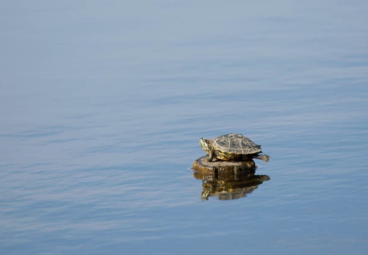 201110251411-DSC06401.jpg
