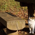 201110251431-DSC06457.jpg