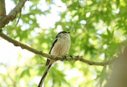 201110261030-DSC06633.jpg