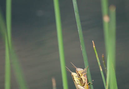 201110261119-DSC06748.jpg