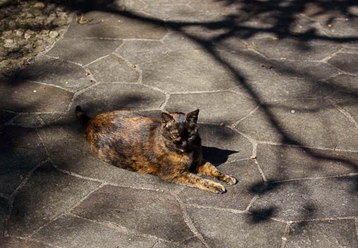 201110261134-DSC06781.jpg