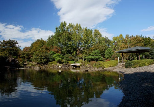 201110261332-DSC06868.jpg