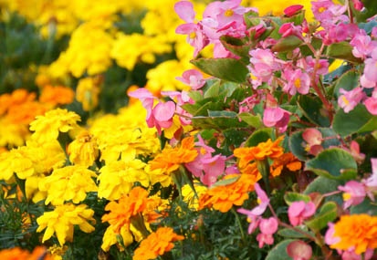 201110261554-DSC06969.jpg
