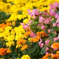 201110261554-DSC06969.jpg