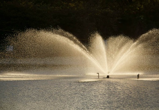 201110261607-DSC07001.jpg