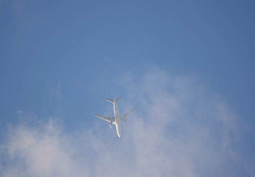 201110261625-DSC07035.jpg