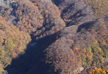 201110270806-DSC07062.jpg