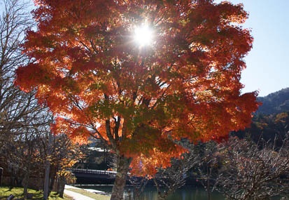 201110270832-DSC07131.jpg