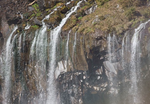 201110270933-DSC07231.jpg