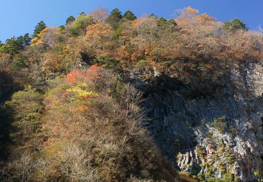 201110270941-DSC07260.jpg