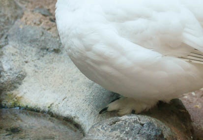 201110281233-DSC07737.jpg