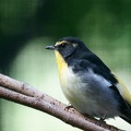 201110281240-DSC07769.jpg