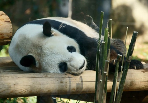 201110281246-DSC07794.jpg