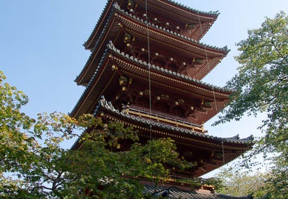 201110281258-DSC07827.jpg