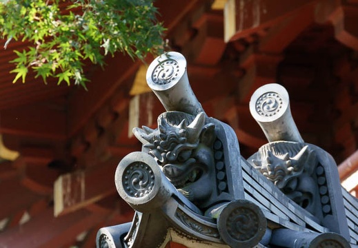 201110281301-DSC07834.jpg