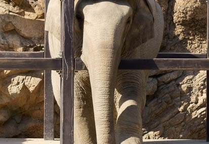 201110281308-DSC07847.jpg