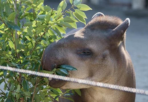 201110281320-DSC07864.jpg