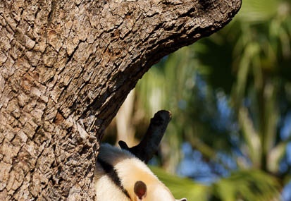 201110281351-DSC07943.jpg