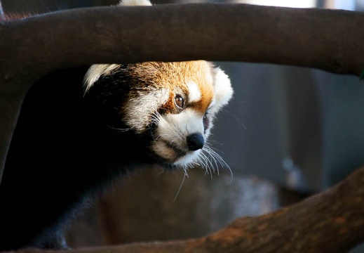 201110281508-DSC08155.jpg