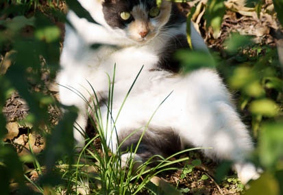 201110291122-DSC08448.jpg
