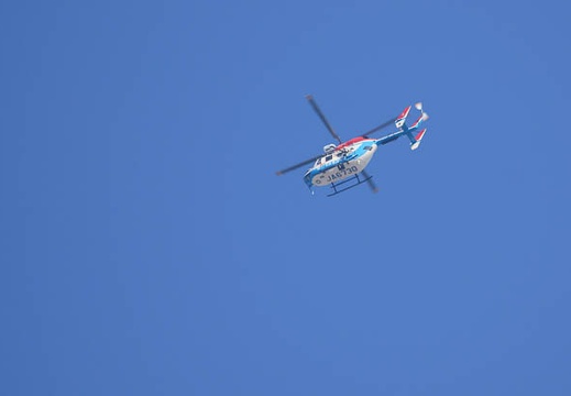201110291155-DSC08520.jpg