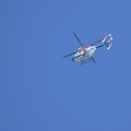 201110291155-DSC08520.jpg