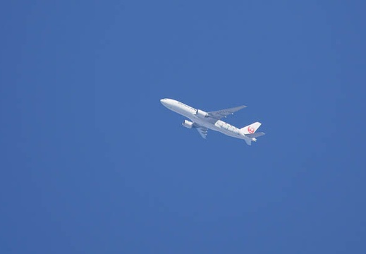 201110291241-DSC08590.jpg