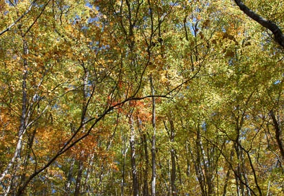 201111021005-DSC08755.jpg