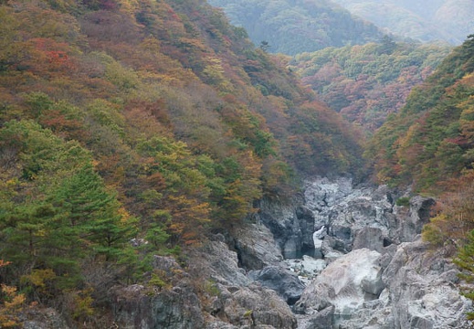 201111021442-DSC09126.jpg