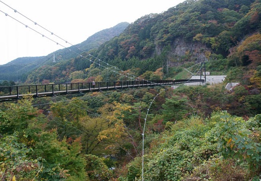 201111021540-DSC09153.jpg
