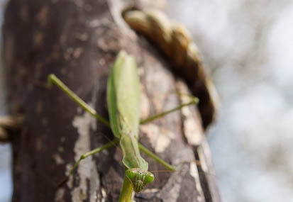 201111041149-DSC09447.jpg