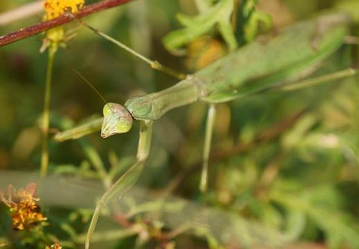 201111041220-DSC09530.jpg