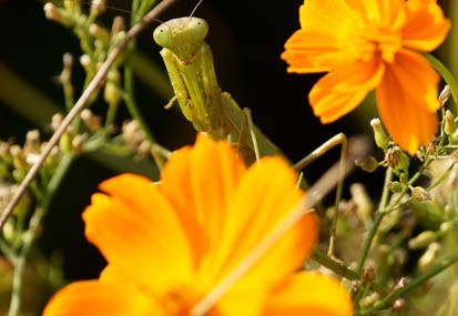 201111041337-DSC09648.jpg