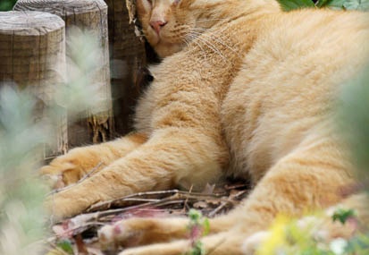 201111041437-DSC09765.jpg