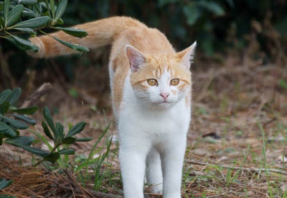201111051058-DSC09806.jpg