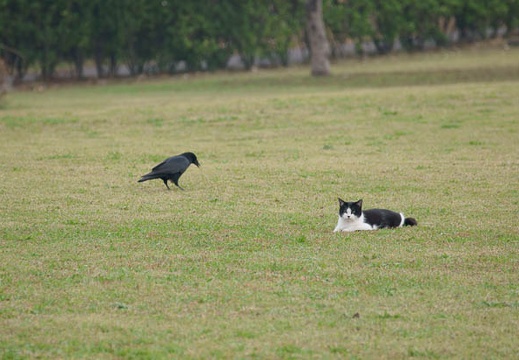 201111051129-DSC09837.jpg