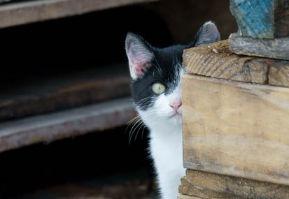 201111051509-DSC00099.jpg