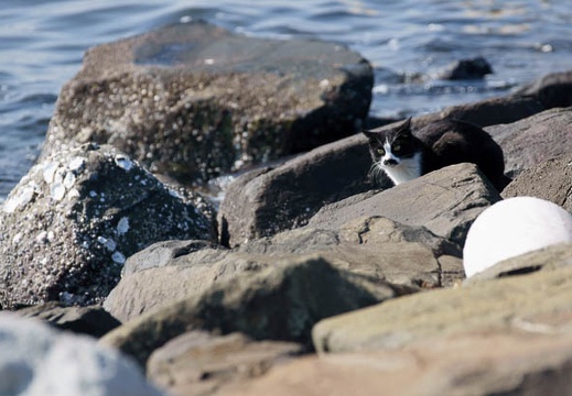 201111071041-DSC00340.jpg