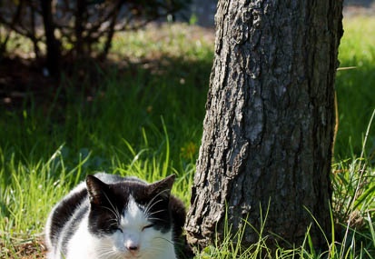 201111071050-DSC00365.jpg