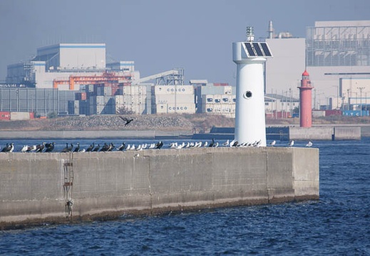 201111071126-DSC00464.jpg